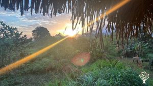 Ferme holistique visant l'auto-suffisance. Finca holística orientada a la autosuficiencia.