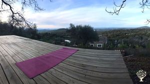 Eco-retreat and permaculture farm in Extremadura