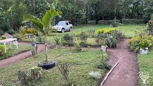 Organic homestead/Farmstead on the slopes of Mt Meru close to a National Park