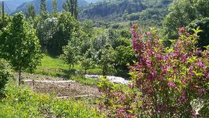 Petite ferme sur 5 hectares en Drôme provençale