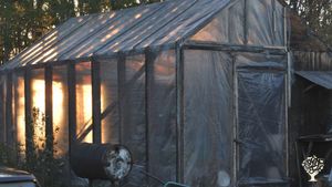 Greehouse, currently cutting lumber to build a larger one.