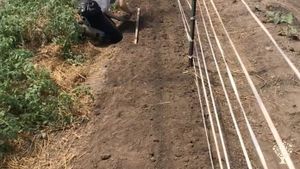 80-acre farm owned by the Dominican Sisters of Peace