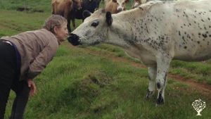 Mixed Farm, Family farm