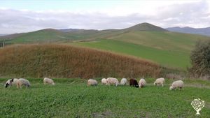 Fattoria di famiglia - Per noi è sempre un piacere, accogliere e condividere!