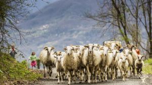 Agritourism Destination