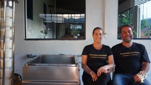 Quinta com produção de refeições, queijo e derivados