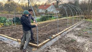 Newly established farm collective producing our own food and small-scale market gardening