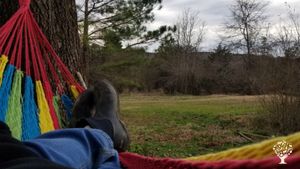 17 acre farm and homestead with pasture, woods, trails