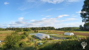 Community Supported Agriculture (CSA) crop share scheme and Registered Charity