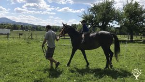 Familienbetrieb/Family Farm