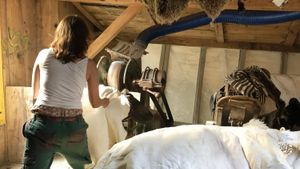 Communauté en construction, élevage de moutons, tannerie, ferme familiale