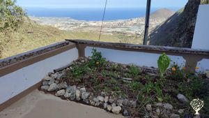 green roof Gemüsegarten