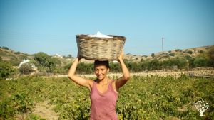 Family home and garden - rural, Agritourism Destination, Vineyard, Farm