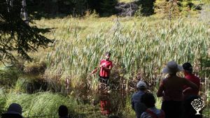 800 acre project that combines organic produce farming, site maintenance and forest life