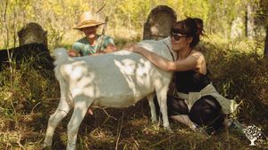 Late autumn shepherding near the village. 