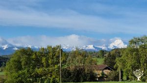 Culture holistique de champignons gastronomiques et médicinaux en harmonie avec la nature.