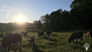 Familienbetrieb/Family Farm
