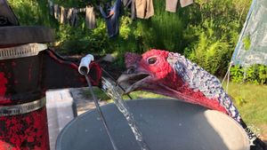 Hard manual labor camp