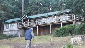 2 bdrm self contained cabin on the main road, Duncan and Buddy.