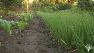 Espaço de Agroecologia, Cultura e Arte e Turismo