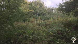 House, garden and woodland creative well-being retreat