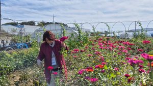 <CN122>평화의 노래가 울려퍼지는 농장 / A Farm Where the Song of Peace Resonates