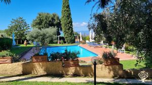 Azienda Agricola  con Agriturismo , produzione di olio , verdure sott' olio e liquore