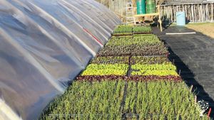 Small scale diverse Farm - Certified Organic