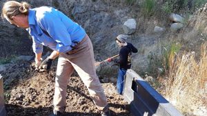 Alternative co-operative community, Educational Centre, Market Garden, Diversified farm
