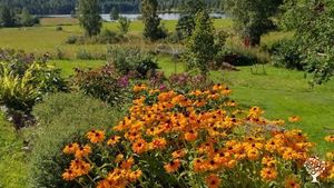 Family home and garden - urban