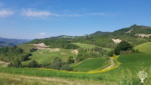 Azienda vitivinicola biologica sull'appennino Tosco Romagnolo