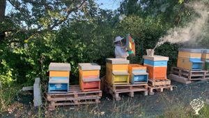 Ritmi e silenzi della campagna