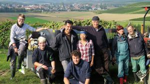 Family home and garden - rural, Vineyard, Orchard, Family farm