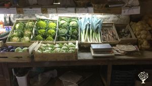 Exploitation Légumière familiale à proximité de Saint Malo