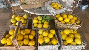 Homestead in authentic part of Spain not very touristic, near the beach