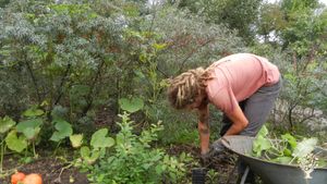 Tiny bio dynamic farm