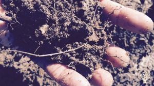 Alternative co-operative community, Educational Centre, Agritourism Destination, Market Garden