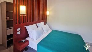 Nous produisons et utilisons des ressources végétales pour réhabiliter des sols pollués