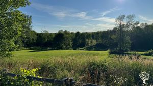 10 acre hobby farm in the heart of the escarpment