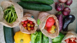 Somos el equipo Soilik, cooperativa de Horticultura Ecológica Regenerativa