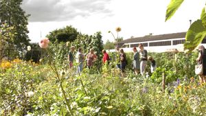 Permacultuur zelfoogstuin en boerderij