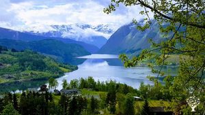 Family farm, flower and vegetable production