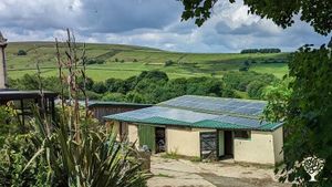 HOGWORTS GRADUATE WANTED: Busy family farm seeking happygolucky help with bees, goats, hens & more!