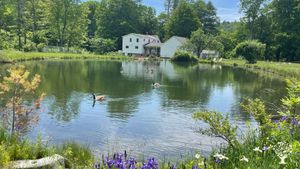 Float on the pond to cool off after a day in the garden
