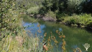 Proyecto comunitario de Agricultura, Arte y Sanación, que está iniciando en Terra Alta Tarragona.