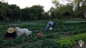 105-acres of land located in north central Oklahoma on the U.S. "Great Plains"