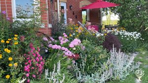 Permaculture and edible perennials are my thing, but this perennial flower garden abounds!