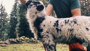 Sandor en complément biberon.