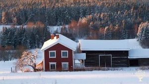 Need help last week in July 2025! Family home and garden - rural, Homestead, Hobby Farm