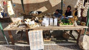 Azienda Agricola Contadina